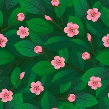 Cherry blossom seamless pattern. Stock Illustration