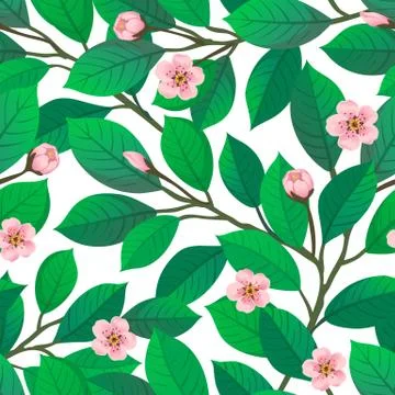 Cherry blossom seamless pattern. Stock Illustration