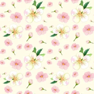Cherry blossom seamless pattern Stock Illustration