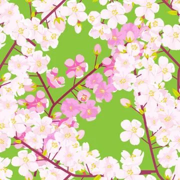 Cherry blossom seamless pattern. Textile or fabric concept Japanese flowering Stock Illustration