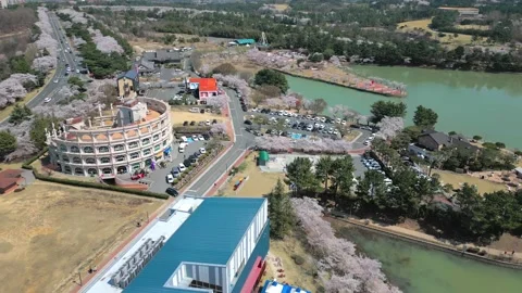 Cherry Blossom Spring of Bomun Lake, Gyeongju, South Korea 스톡 동영상 237209535