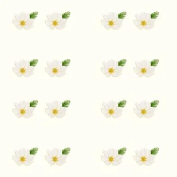 Cherry blossom textile pattern design for fabric and packaging Stock Illustration