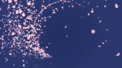 Cherry Blossom Trail Circle Loop Stock Footage 263939658