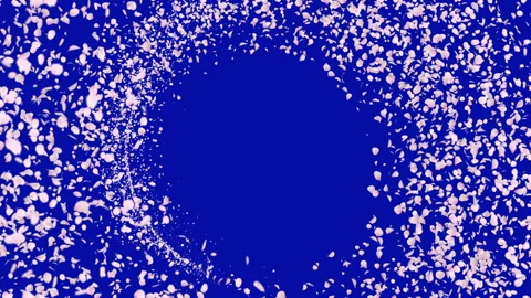 Cherry Blossom Trail Circle Loop on Blue Screen Stock Footage 302454521