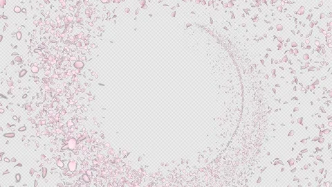 Cherry Blossom Trail Circle Loop on alpha Stock Footage 302454931