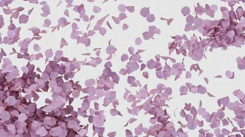 Cherry Blossom Transition Alpha Wipe Stock Footage 321115630