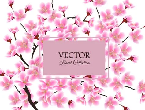 Cherry blossom tree card with text template - rectangle frame Stock Illustration