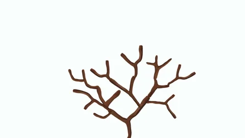 Cherry Blossom Tree Stock-Footage 327885066