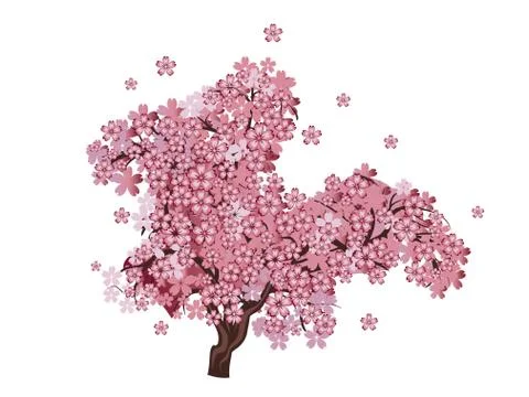 Cherry Blossom Tree Ilustração Stock