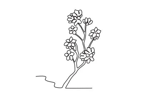 A cherry blossom tree Stock Illustration