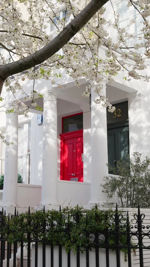 Cherry blossom tree lined street in West London, Chelsea Stock Footage 332235160