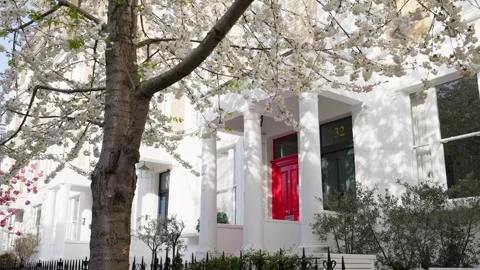 Cherry blossom tree lined street in West London, Chelsea Stock Footage 332235321