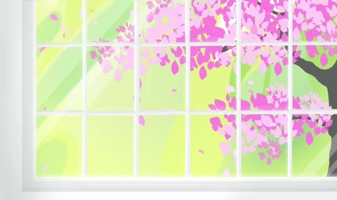 Cherry Blossom Tree Outside Window with Falling Sakura Petals, Spring Animation Stock Footage 340574025
