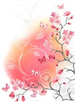 Cherry blossom tree, white background Stock Illustration