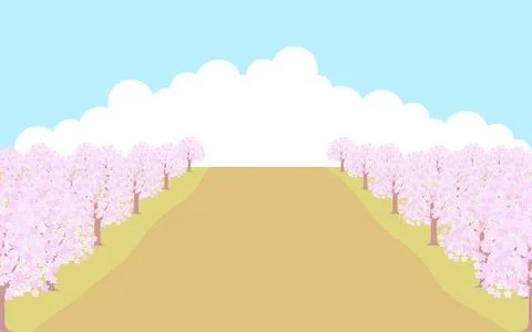 Cherry blossom trees in full bloom to the left and right, background of blue sky Stock Illustration
