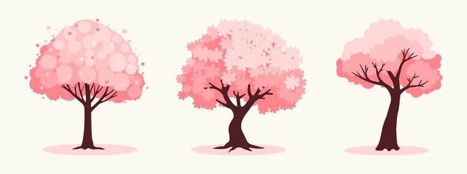 Cherry Blossom Trees Stock Illustration
