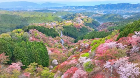 Атақты адамдармен порно видео көру