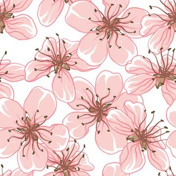 Cherry blossom vector background. (Seamless flowers pattern) Stock Illustration