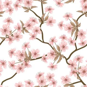 Cherry blossom vector background. (Seamless flowers pattern) Stock Illustration