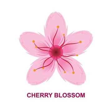 Cherry Blossom Vector Illustration Stock Illustration