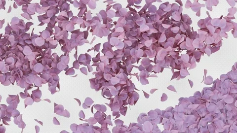 Cherry Blossom Windy Transition Alpha Wipe Stock Footage 319267389