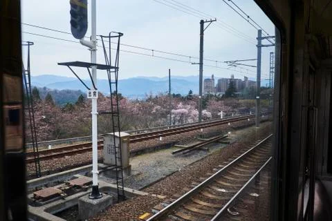 Cherry blossoms along train tracks seen through a carriage window Stock Photos