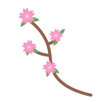 Cherry blossoms and branches. Vector. Stock Illustration