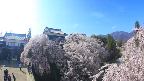 Cherry Blossoms and Ueda Castle from 7 Meters Above Stock Footage 330637128