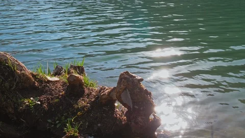 The cherry blossoms and water surface of Lake Nakatsuna glow in the back light Stock Footage 107495769