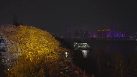 Cherry blossoms are in full bloom at Qingchuan Pavilion  in Wuhan, Hubei, China. Stockbeeldmateriaal 332120403