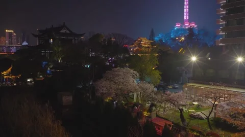 Cherry blossoms are in full bloom at Qingchuan Pavilion  in Wuhan, Hubei, China. Stock-Footage 332120405