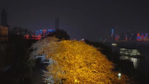 Cherry blossoms are in full bloom at Qingchuan Pavilion  in Wuhan, Hubei, China. Stockbeeldmateriaal 332120417