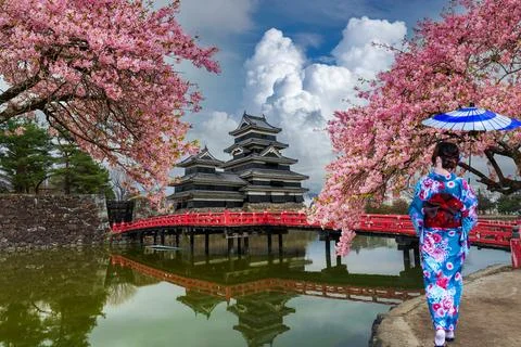 Cherry blossoms in bloom in front of an old palace in Japan. Stock Photos