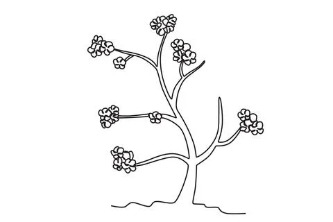 Cherry blossoms in bloom Stock Illustration