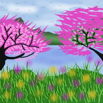 Cherry blossoms blooming in spring Stockillustratie
