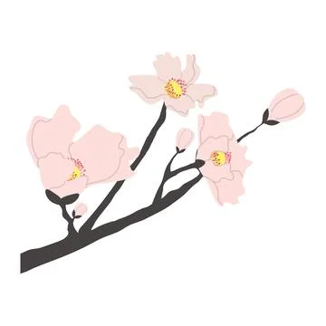 Cherry Blossoms On Branch In Spring Bloom Stock Illustration