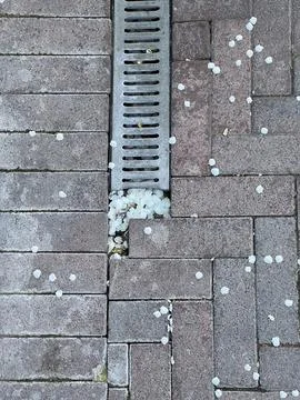 Cherry blossoms clogged the gutter. Spring bloom of fruit trees Stock Photos