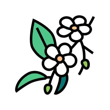 Cherry blossoms color icon vector illustration Stock Illustration