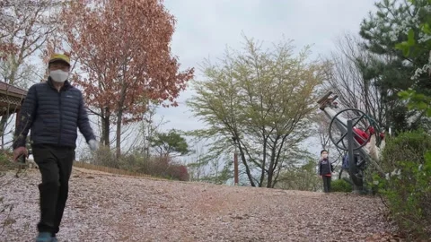 Cherry Blossoms during Covid-19 Stock Footage 151643539