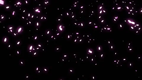 Cherry blossoms falling animation 動画素材 142615439