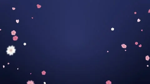 Cherry blossoms falling at the sides with copy space on navy night Stock-Footage 348618988