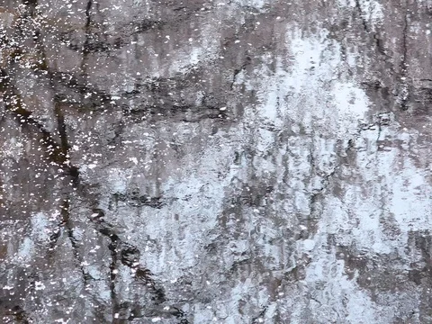 Cherry blossoms floating on water at Meguro river, Tokyo, Japan Stock Footage