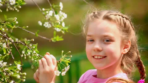 Cherry blossoms Stock Footage 23207224