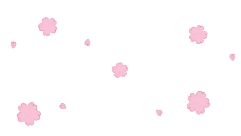 Cherry Blossoms Stock Footage 327885055