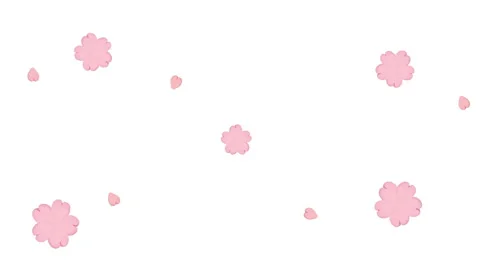 Cherry Blossoms Stock Footage 327885058