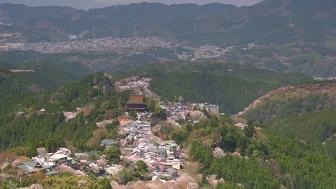 Cherry blossoms in full bloom at Mount Yoshino, Nara Prefecture, Japan Stock Footage
