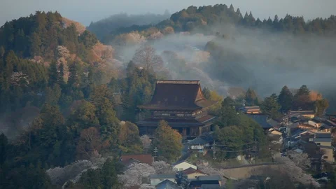 Cherry Blossoms In Full Bloom At Mount Yoshino, Nara Prefecture, Japan Video stock 100980050