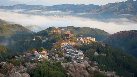 Cherry Blossoms In Full Bloom At Mount Yoshino, Nara Prefecture, Japan Video stock 100980052