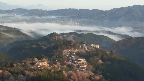 Cherry Blossoms In Full Bloom At Mount Yoshino, Nara Prefecture, Japan Vidéo 101034693
