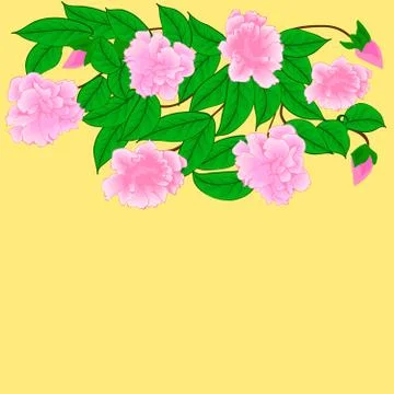 Cherry blossoms Illustrazione stock